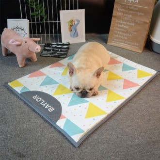 CG348 ���ڶ����� �÷�Ǯ ������ �ð� �е� �ֿ� ���Ʈ (60*43) 